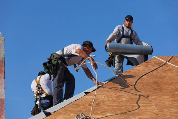 Best Emergency Roof Repair  in New Paleste, IN