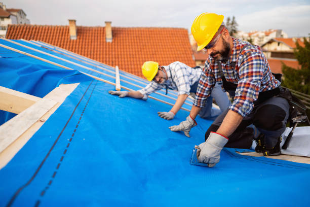 Best Commercial Roofing Services  in New Paleste, IN