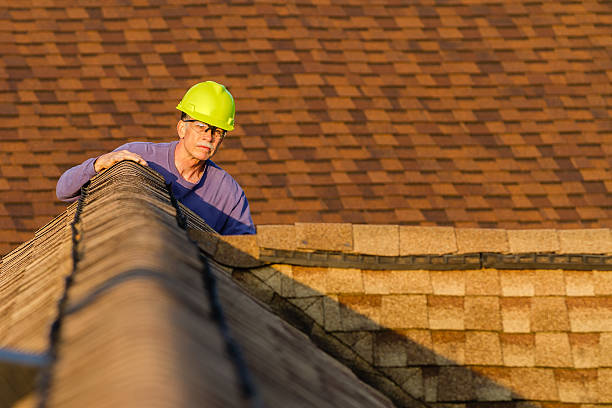 Best Roof Restoration Services  in New Paleste, IN