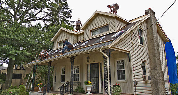 Best Commercial Roof Installation  in New Paleste, IN
