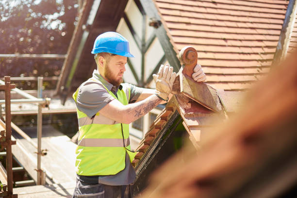 Best Roof Gutter Cleaning  in New Paleste, IN
